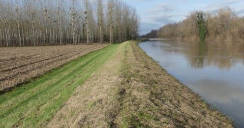 digue en bord de garonne