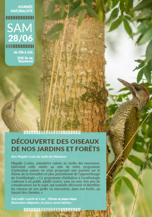 Journée naturaliste samedi 28 juin de 10h à 16h sur l'île de raymond
Avec Magalie Costes du jardin des murmures
Magalie Costes, animatrice nature au Jardin des murmures, intervient cette année au sein de notre programme d’animation nature en vous proposant une journée sur le thème de la formation et plus précisément de l’apprentissage de l’ornithologie. Ce programme d’initiation à l’ornithologie s’adresse à un public adulte novice, sans ou avec très peu de connaissances sur le sujet, qui souhaite découvrir et identifier les oiseaux de son jardin ou rencontrés, dans nos forêts, au hasard des chemins.
Tout public à partir de 6 ans Prévoir un pique-nique
Réservation obligatoire, les places seront limitées