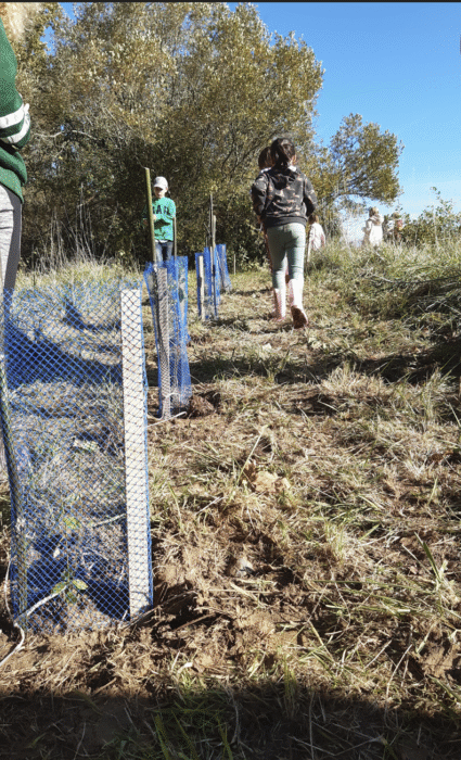 Image représentant la plantation d'une haie champêtre sur le site naturel de Laromet avec les enfants de plusieurs accueils de loisirs du territoire.