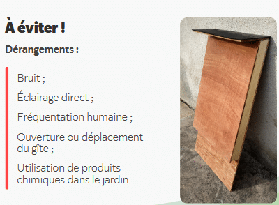 L'image se compose d'une photo d'un gîte réalisé en bois. La légende précise les dérangements à évite. Le bruit, l'éclairage direct, la fréquentation humaine, l'ouverture ou le déplacement du gîte, l'utilisation de produits chimiques dans le jardin