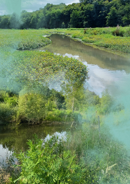 Image fondue représentant les deux espaces naturels sensibles. En haut le ruisseau de l'Oeuille sur le site de Laromet et la petite rivière sur l'île de Raymond