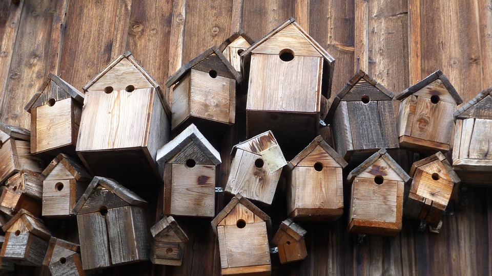 Photo représentant une multitude de nichoirs de tailles, formes et de matériaux différents