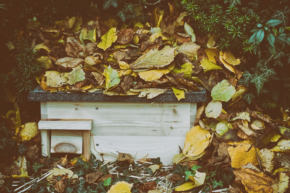 photo d'un abri à hérisson recouvert d'un tas de feuilles pour l'intégrer dans son environnement