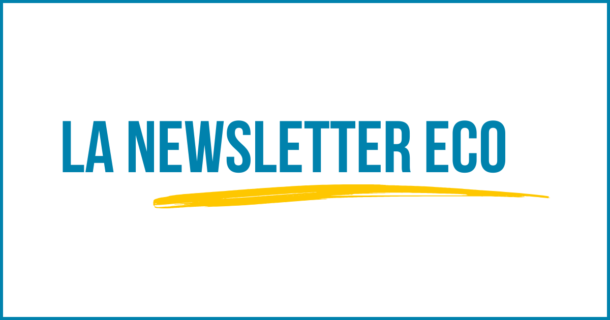 La newsletter éco